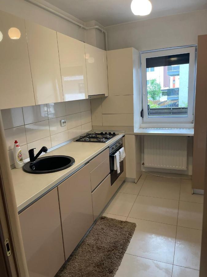 Yamaluxe Apartments - Home-Like Apartment クルージュ＝ナポカ エクステリア 写真